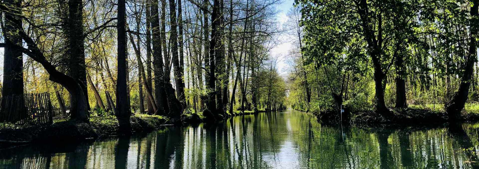 Marais poitevin